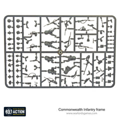 British Commonwealth Infantry