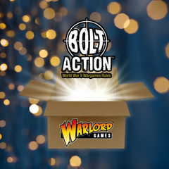 Mystery Box - Bolt Action