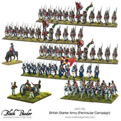 Napoleonic British starter army (Peninsular campaign)