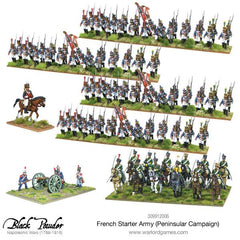 Napoleonic French starter army (Peninsular campaign)