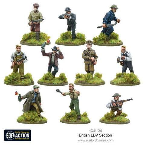 British LDV section British LDV section