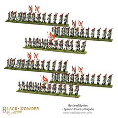 Battle of Baylen - Napoleonic Spanish Infantry Brigade