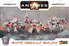 Ghar Assault Squad (plastic)