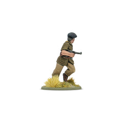 Armies of France and Marie-Pierre Kœnig book miniature