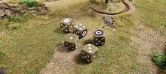 British Army D6 dice pack
