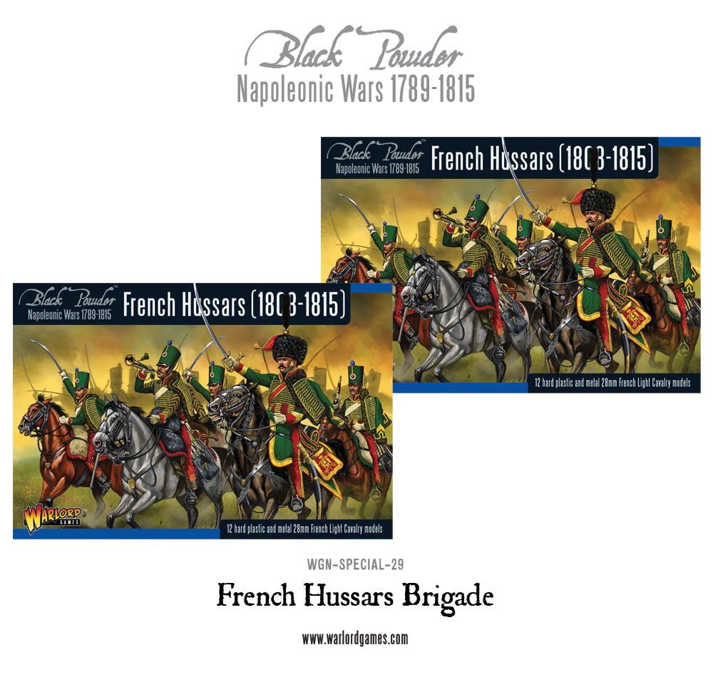 Napoleonic French Hussars Brigade