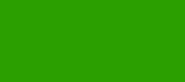 Model Colour 833 - German Camo Bright Green
