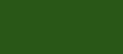 Model Colour 924 - Russian Uniform Green
